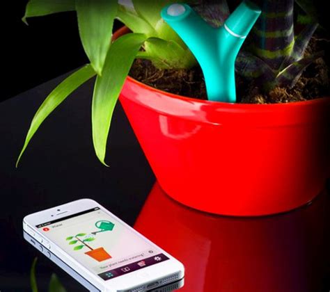 best plant monitor|6 Best Smart Plant Sensors & Gardenin.